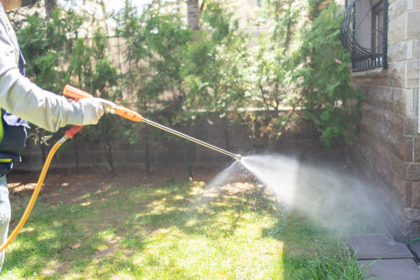 Lawn Pest Control in Belle Rose, LA